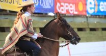 Consejos veterinarios de Javiera Toro: Los caballos se deben mantener idealmente en movimiento Consejos veterinarios de Javiera Toro: Los caballos se deben mantener idealmente en movimiento