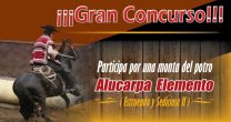 ¡Últimos días! Este miércoles termina el concurso de la monta del potro Alucarpa Elemento ¡Últimos días! Este miércoles termina el concurso de la monta del potro Alucarpa Elemento