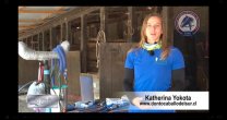 Katherina Yokota dio importantes consejos para el cuidado odontológico de los caballos Katherina Yokota dio importantes consejos para el cuidado odontológico de los caballos
