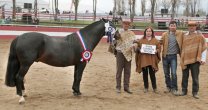 Criadero Santa Eliana, una apuesta por la excelencia Criadero Santa Eliana, una apuesta por la excelencia