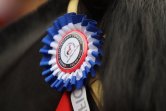 Las claves para participar en las últimas horas del remate de montas de Las claves para participar en las últimas horas del remate de montas de