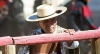 Fernando Miranda vuelca en el Criadero Distante su admiración por el caballo chileno