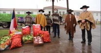 Germán Codina, alcalde de Puente Alto: Agradecemos el gesto solidario del Campo Chileno Germán Codina, alcalde de Puente Alto: Agradecemos el gesto solidario del Campo Chileno