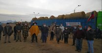 Los Huasos Corren por Chile: Se donó forraje para animales de crianceros de Colina, Til Til y Lampa Los Huasos Corren por Chile: Se donó forraje para animales de crianceros de Colina, Til Til y Lampa