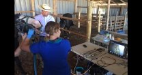 Con charla sobre odontología equina en caballos corraleros continúa ciclo de los Criadores de Linares Con charla sobre odontología equina en caballos corraleros continúa ciclo de los Criadores de Linares