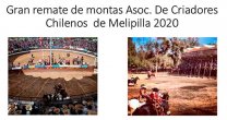 Asociación de Criadores de Melipilla publicó atractivo catálogo de su Remate de Montas Solidario