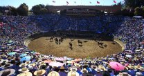 En diciembre será eventual fecha del 72° Campeonato Nacional de Rodeo En diciembre será eventual fecha del 72° Campeonato Nacional de Rodeo