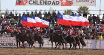 Las deslumbrantes presentaciones de la Escuadra Ecuestre Palmas de Peñaflor en la Semana de la Chilenidad