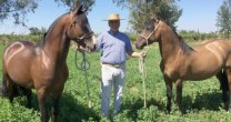 El Casas del Liguay, un criadero de hermanos El Casas del Liguay, un criadero de hermanos