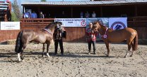 Miguel González: Los criadores de Arauco seguimos esperanzados en poder retomar nuestras actividades Miguel González: Los criadores de Arauco seguimos esperanzados en poder retomar nuestras actividades