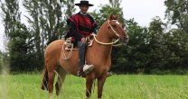 Los caballos fueron su mejor terapia, la linda historia de Patricio Moreno