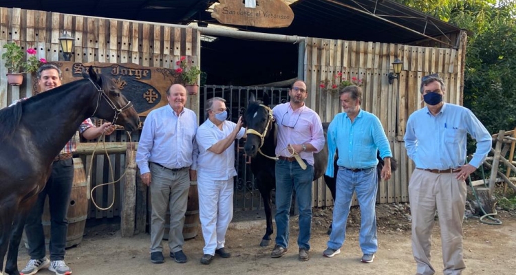 Un grupo de parlamentarios conoció del caballo chileno en el Criadero San Jorge El Victorioso