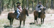 Anuario 2014: Carlos Renner, toda una vida dedicada a los caballos