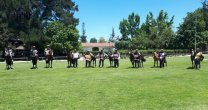 Asociación de Criadores de Colchagua realizó cambios en su directiva Asociación de Criadores de Colchagua realizó cambios en su directiva