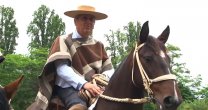 José Manuel Pozo y los 18 años de Caballoyrodeo.cl: José Manuel Pozo y los 18 años de Caballoyrodeo.cl: