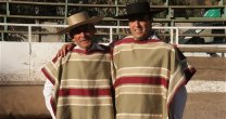Secretos del Arreglo, Luis Secretos del Arreglo, Luis