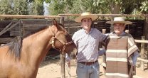 Patricio Fresno sufrió incendio en su Criadero Río Lindo: Por amor a los caballos voy a seguir batallando Patricio Fresno sufrió incendio en su Criadero Río Lindo: Por amor a los caballos voy a seguir batallando