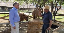Cristóbal Orrego, candidato a Constituyente: La vida del campo es parte de nuestra riqueza como país Cristóbal Orrego, candidato a Constituyente: La vida del campo es parte de nuestra riqueza como país