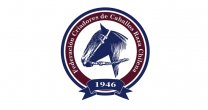 Comunicado de la Federación de Criadores: Definición sobre venta de caballos NN Comunicado de la Federación de Criadores: Definición sobre venta de caballos NN