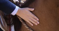 Confederación del Rodeo tendrá un activo cuerpo de monitores y voceros para acompañar el Proceso Constituyente Confederación del Rodeo tendrá un activo cuerpo de monitores y voceros para acompañar el Proceso Constituyente