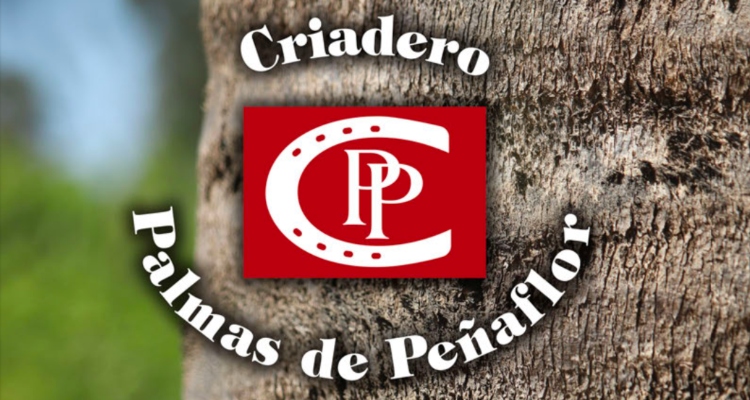 Criadero Palmas de Peñaflor tiene estelar remate este miércoles
