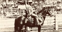 El listado de los Arregladores Maestros del Caballo de Pura Raza Chilena El listado de los Arregladores Maestros del Caballo de Pura Raza Chilena