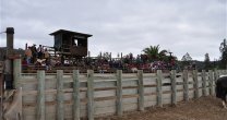 Rodeo Provincial del Club Casablanca Litoral fue suspendido por lluvia Rodeo Provincial del Club Casablanca Litoral fue suspendido por lluvia