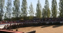 Club Requinoa también suspendió su rodeo por mal tiempo Club Requinoa también suspendió su rodeo por mal tiempo