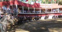 La acción corralera volverá este fin de semana a la Medialuna La acción corralera volverá este fin de semana a la Medialuna