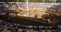 Confederación del Rodeo Chileno se plegó al Encuentro por las Tradiciones en San Carlos Confederación del Rodeo Chileno se plegó al Encuentro por las Tradiciones en San Carlos