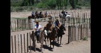 Criadores de Cuyo: Hemos formado una gran familia que va creciendo Criadores de Cuyo: Hemos formado una gran familia que va creciendo
