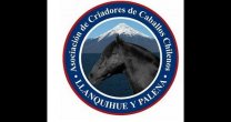 Criadores de Llanquihue y Palena acercaron el Caballo Chileno a menores de Mejor Niñez Criadores de Llanquihue y Palena acercaron el Caballo Chileno a menores de Mejor Niñez