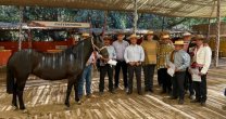 Criadores de Coquimbo cumplieron un nuevo hito en conjunto con el Criadero Santa Ana