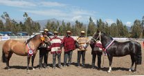 Los Andes tiene movido fin de semana con Exposición y Rodeo para Criadores
