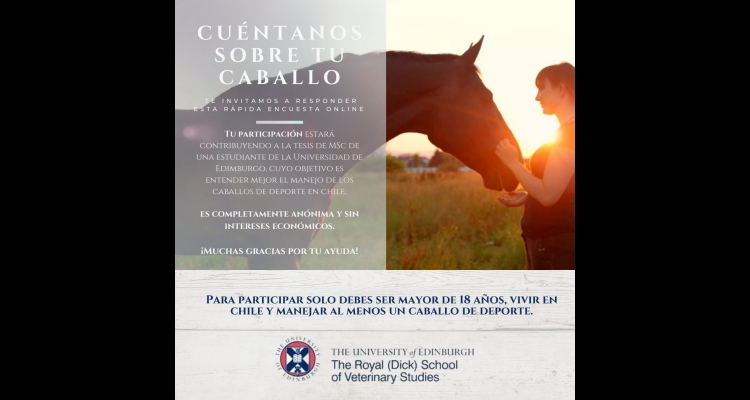 ¡Participa! Quedan pocos días para cerrar encuesta sobre el manejo del caballo de deporte en Chile