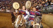 ¡Definió a lo grande! Palmas de Peñaflor logró su primer Champion de Chile con un notable cuarto toro ¡Definió a lo grande! Palmas de Peñaflor logró su primer Champion de Chile con un notable cuarto toro