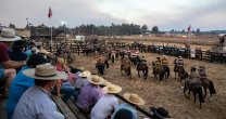 Comisiones Arreglo y Funcionalidad y Promoción del Caballo Raza Chilena se reunirán con presidentes de asociaciones Comisiones Arreglo y Funcionalidad y Promoción del Caballo Raza Chilena se reunirán con presidentes de asociaciones