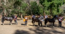 Asociación de Criadores de Maipo iniciará la temporada con asamblea de socios Asociación de Criadores de Maipo iniciará la temporada con asamblea de socios