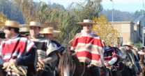 CaballoyRodeo en Vivo: Revisa la gran Manifestación por las Tradiciones del Campo Chileno CaballoyRodeo en Vivo: Revisa la gran Manifestación por las Tradiciones del Campo Chileno