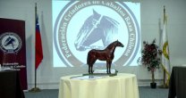 Directorio de la Federación de Criadores revisó importantes avances de las comisiones Directorio de la Federación de Criadores revisó importantes avances de las comisiones