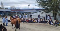 Club Llanquihue acercó el Caballo Chileno y las tradiciones a niños y jóvenes