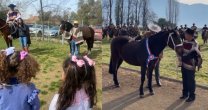 Socios de los Criadores de Colchagua llevaron el Caballo Chileno a estudiantes Socios de los Criadores de Colchagua llevaron el Caballo Chileno a estudiantes