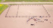 Gonzalo Araneda por llegada de Corral de Aparta de Ganado para el Norte Chico: A la gente le gustó y lo entendió Gonzalo Araneda por llegada de Corral de Aparta de Ganado para el Norte Chico: A la gente le gustó y lo entendió