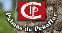 Palmas de Peñaflor sale a remate con caballos corriendo y destacadas sangres