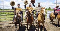 Boris Cabezas: Mostrar en otra prueba los caballos criados de Doña Gume es muy satisfactorio