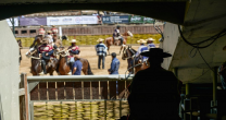 Federación del Rodeo implementó Carpa de Bienestar Animal durante el Campeonato Nacional
