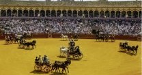El Enganche Chileno fue vitoreado en Sevilla
