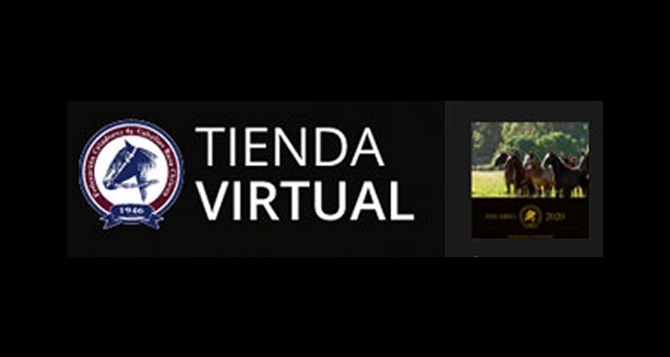Encuentra un regalo inolvidable para el Día del Padre en la Tienda Virtual de los Criadores
