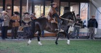 Una provechosa jornada se vivió en el Criadero Aguas Claras de Huelquén Una provechosa jornada se vivió en el Criadero Aguas Claras de Huelquén