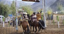 Asociación de Criadores de Aysén inició proyecto para construir un corral de aparta Asociación de Criadores de Aysén inició proyecto para construir un corral de aparta